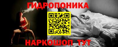 соль ск Обь