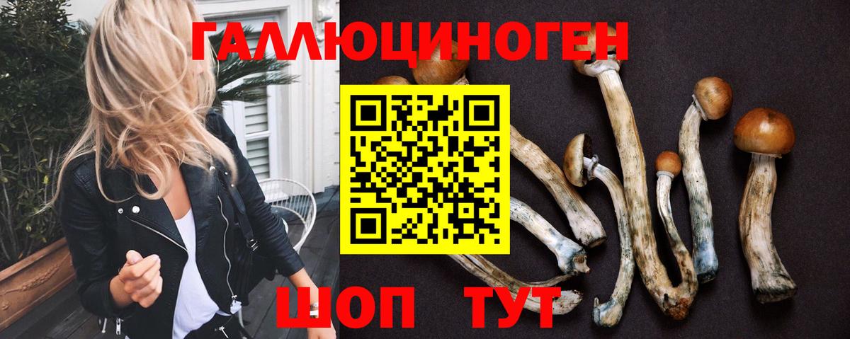 Псилоцибиновые грибы Cubensis  Вход с VPN  Тайшет 
